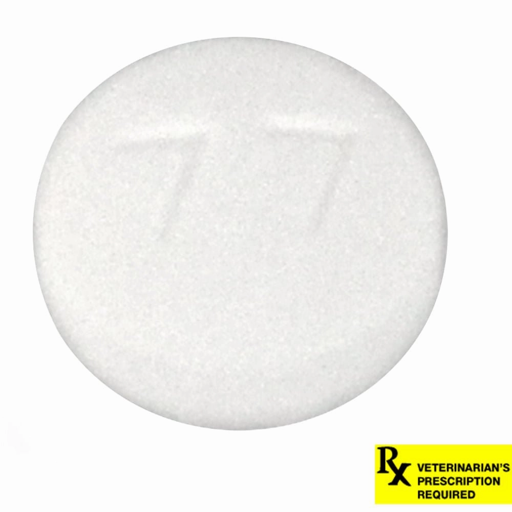 Rx Hydroxyzine HCl (Generic) Tablets for Dogs & Cats