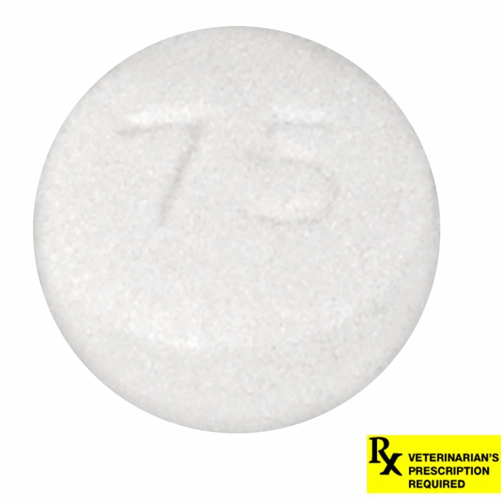 Rx Hydroxyzine HCl (Generic) Tablets for Dogs & Cats