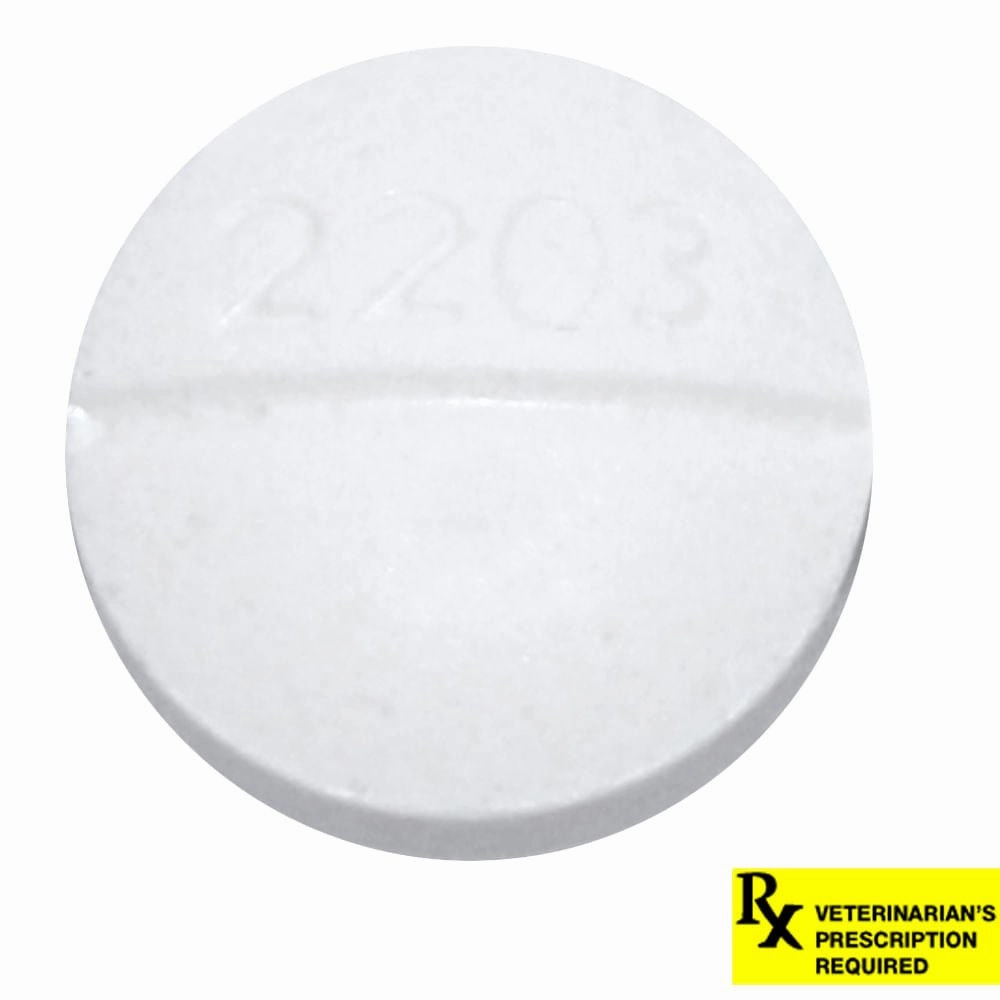 Rx Metoclopramide (Generic) Tablets for Dogs & Cats