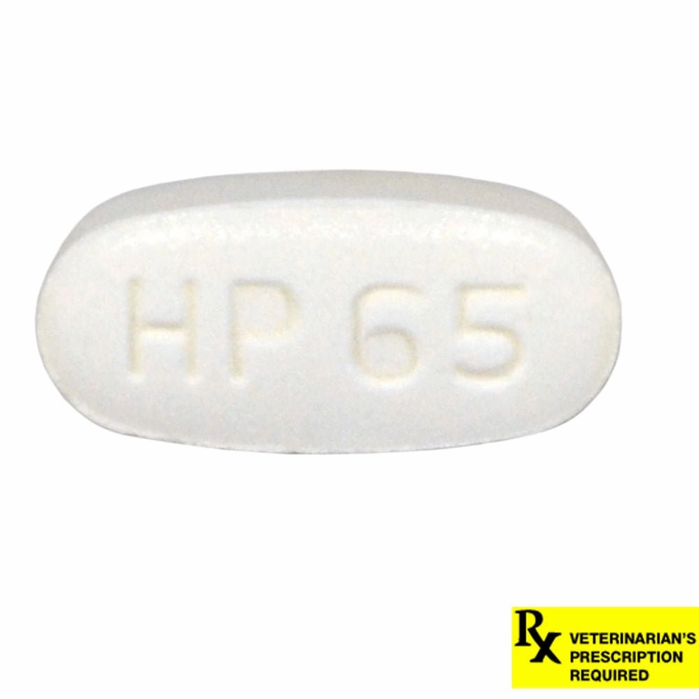 Rx Metronidazole (Generic) Tablets for Dogs & Cats