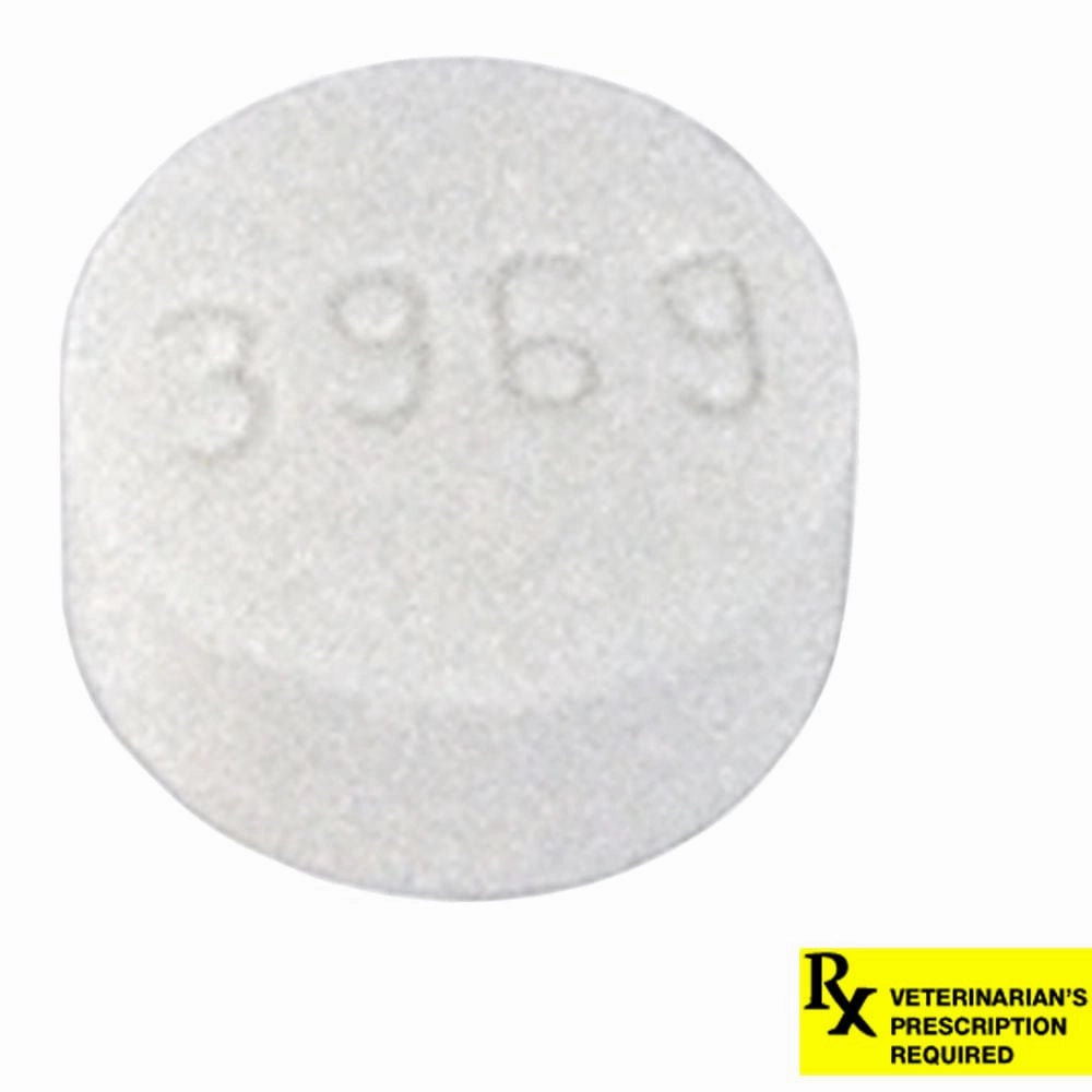 Rx Metronidazole (Generic) Tablets for Dogs & Cats