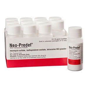 Rx Neo-Predef with Tetracaine Topical Powder for Horses, Dogs, & Cats, 15 gram