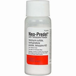 Rx Neo-Predef with Tetracaine Topical Powder for Horses, Dogs, & Cats, 15 gram