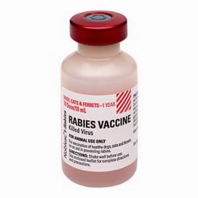 Rx Nobivac 1-Rabies Vaccine for Dogs & Cats, 10 mL Vial, No Tags