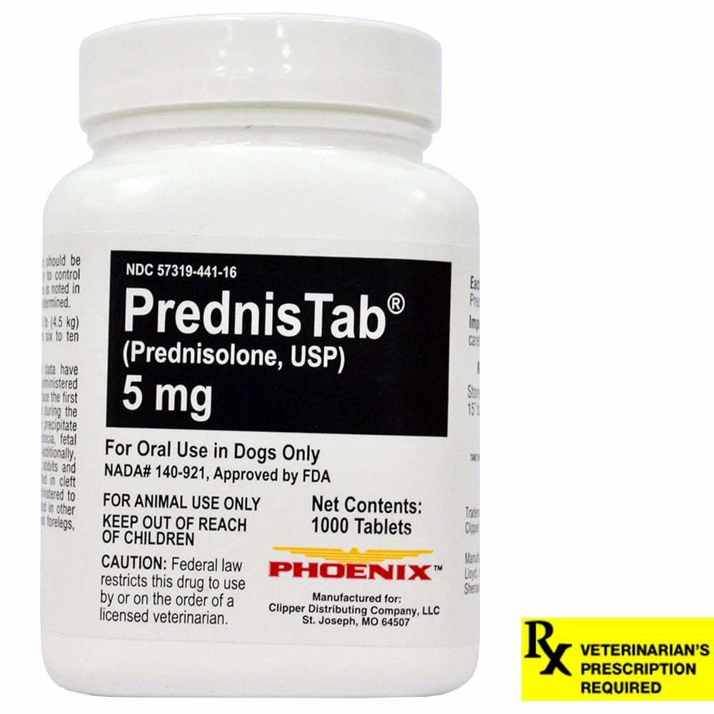 Rx PrednisTab (prednisolone) Oral Tablets