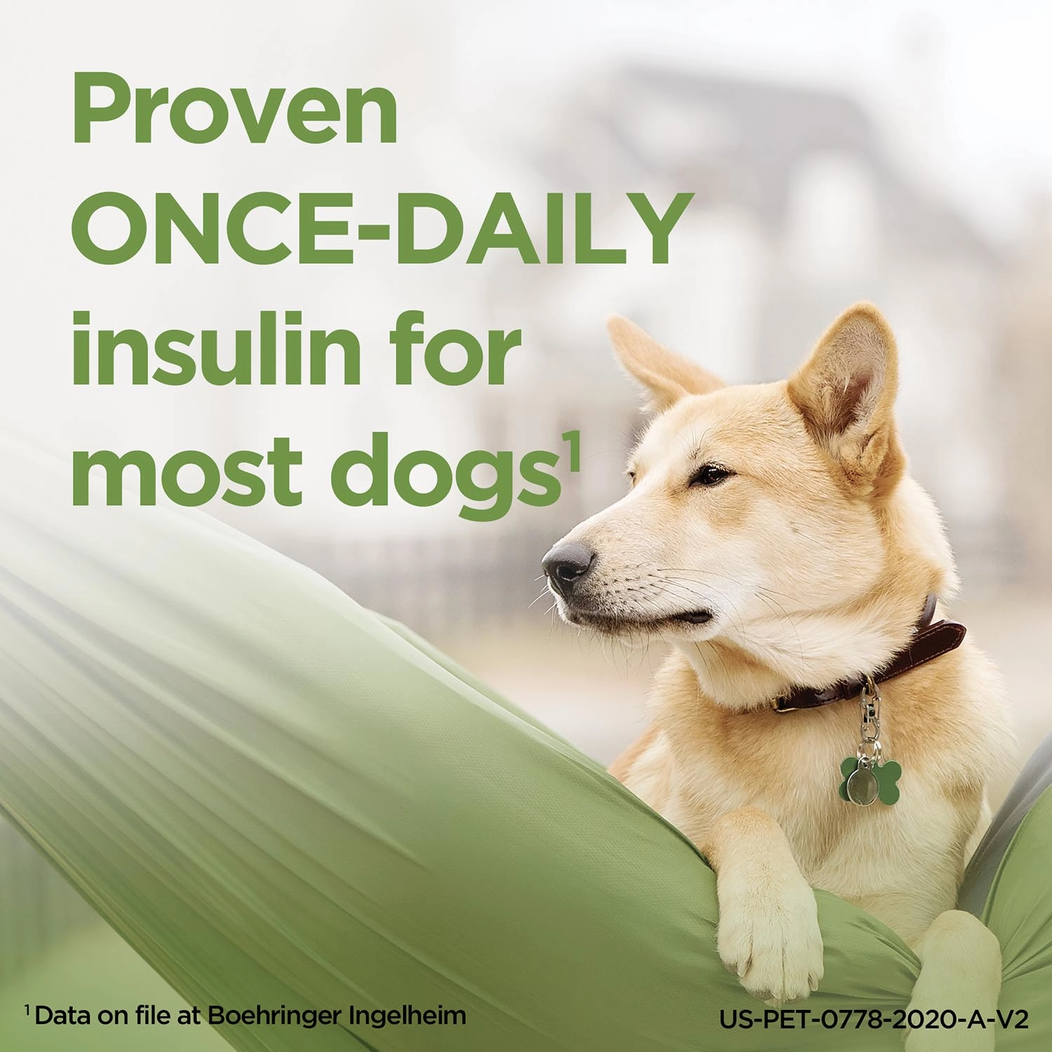 Rx ProZinc (protamine zinc recombinant human insulin) Injection for Dogs & Cats, 40 units/ml, 10ml Vial