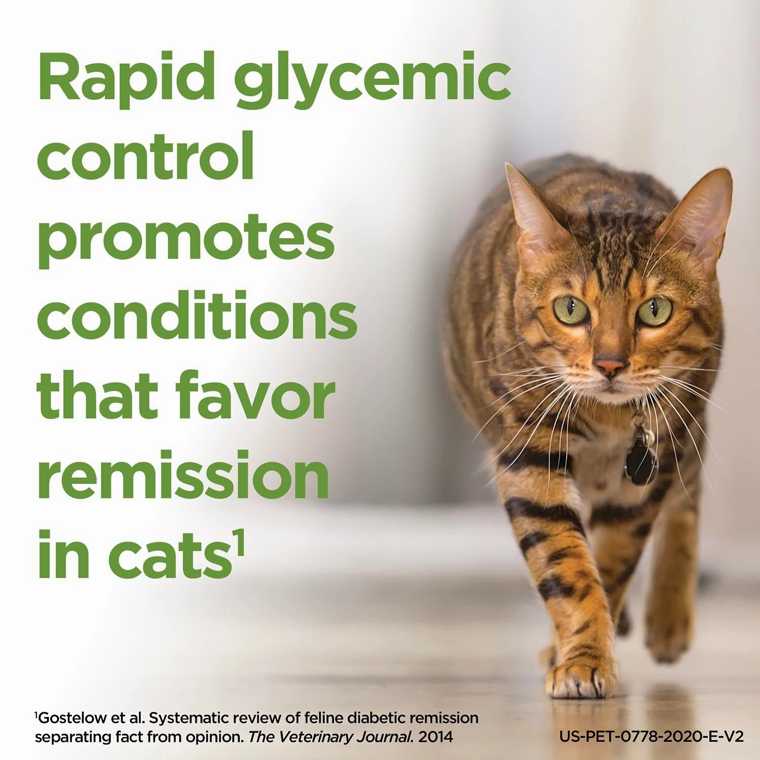 Rx ProZinc (protamine zinc recombinant human insulin) Injection for Dogs & Cats, 40 units/ml, 10ml Vial