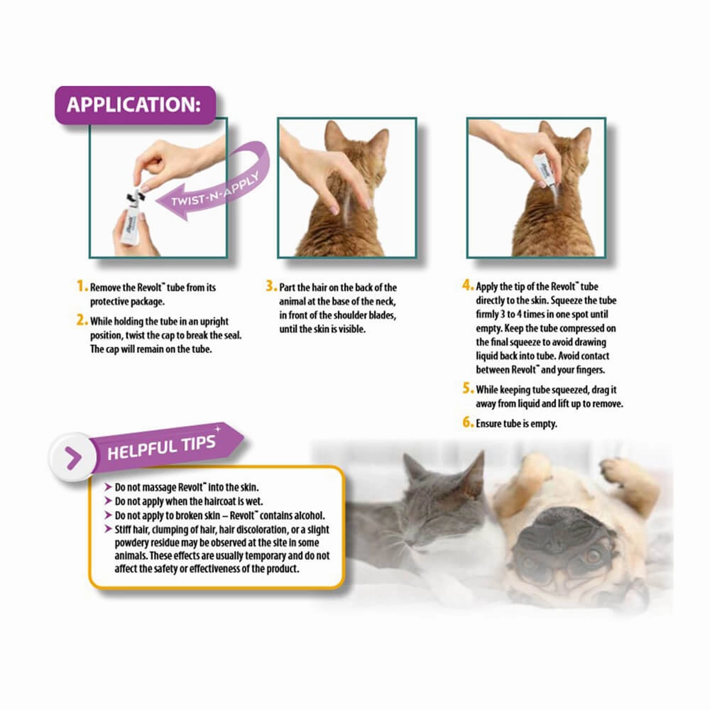 Rx Revolt (Selamectin) for Cats