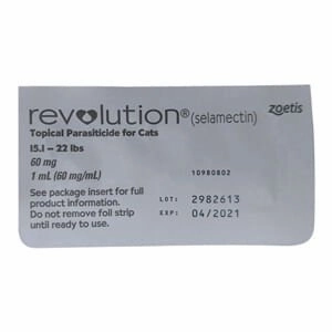 Rx Revolution, Feline