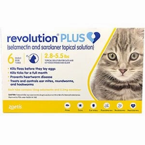 Rx Revolution, Feline