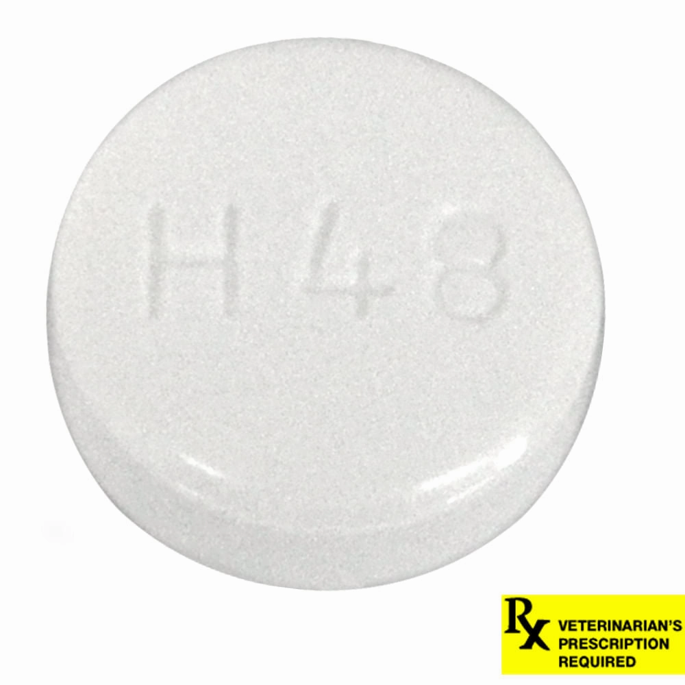 Rx SMZ TMP (Generic) Tablets
