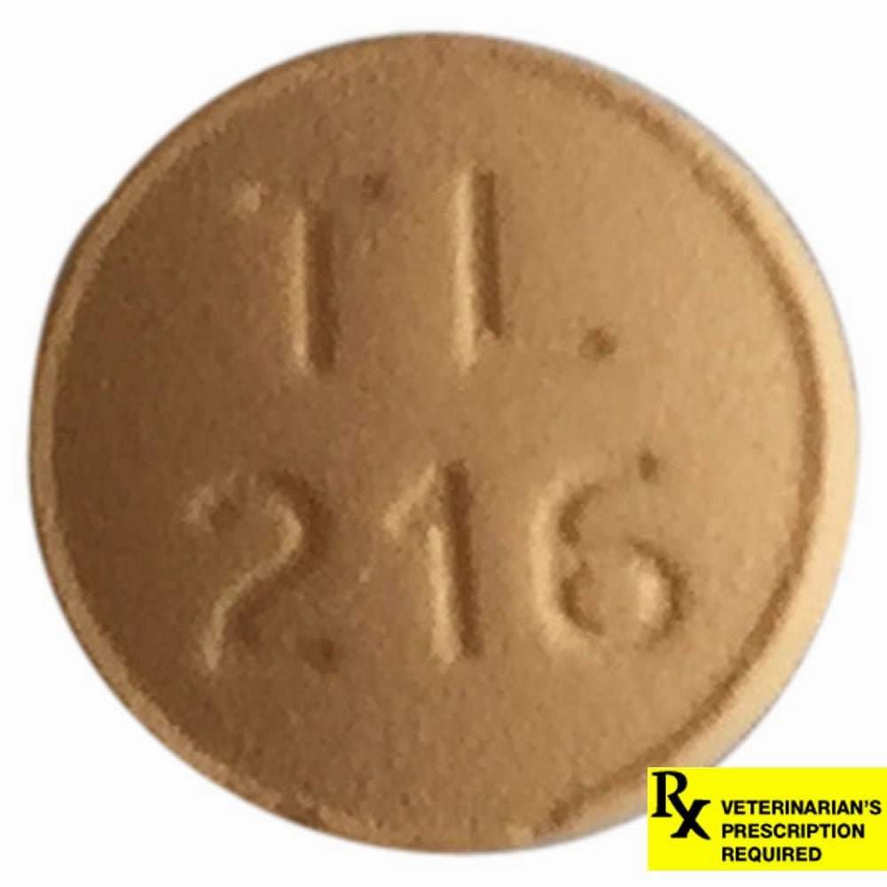 Rx Spironolactone (Generic) Tablets for Cats & Dogs