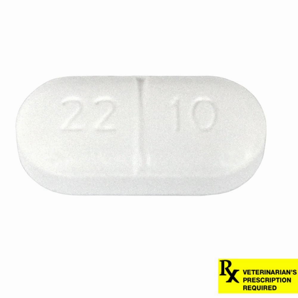 Rx Sucralfate (Generic) Tablets for Horses, Dogs, & Cats, 1 gram