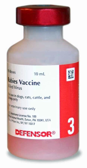 Rx Vanguard Rabies Vaccine, 3 Year, 10 Dose, No Tags