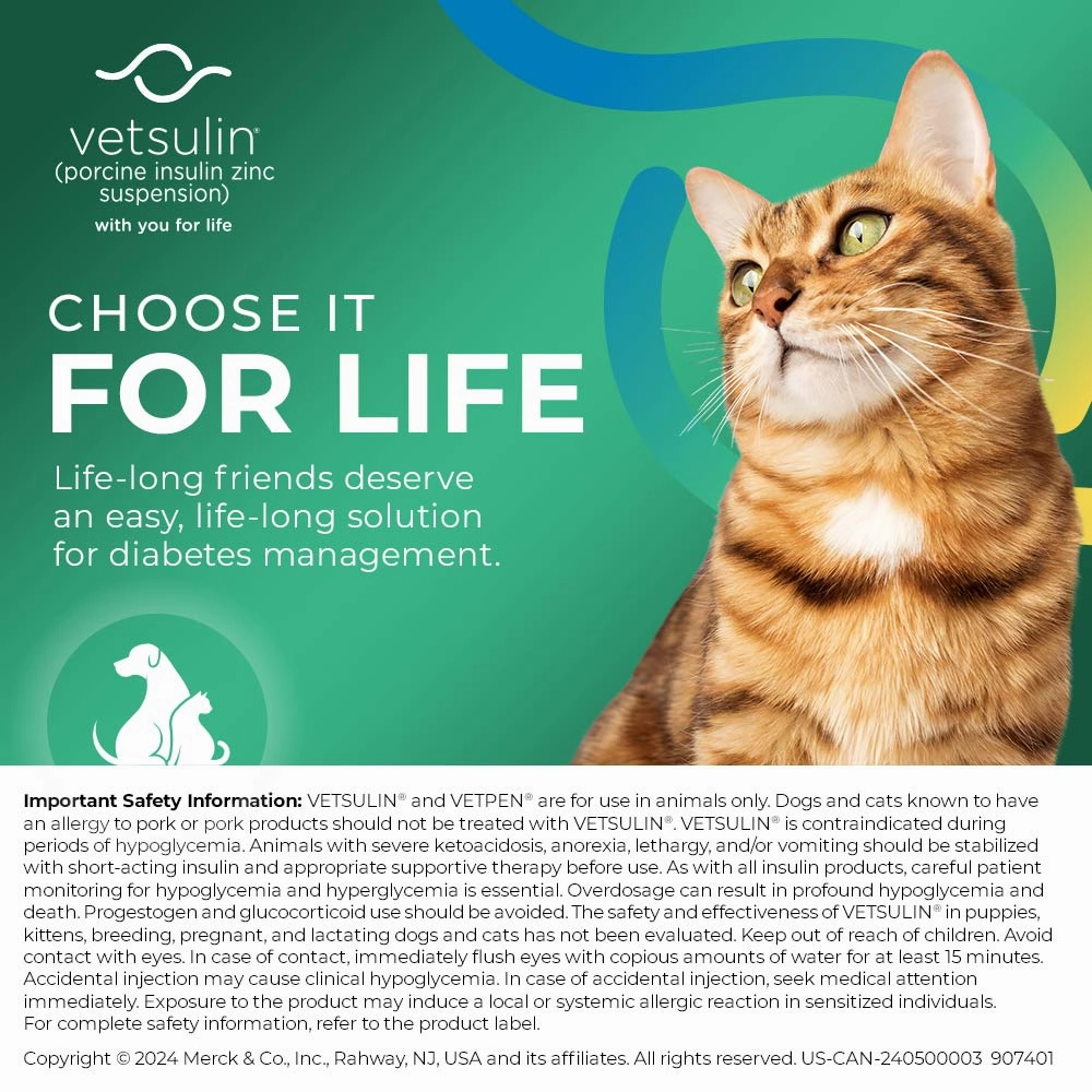 Rx Vetsulin (porcine insulin zinc suspension) for Dogs & Cats, 40 units/mL Injectable, 10 mL