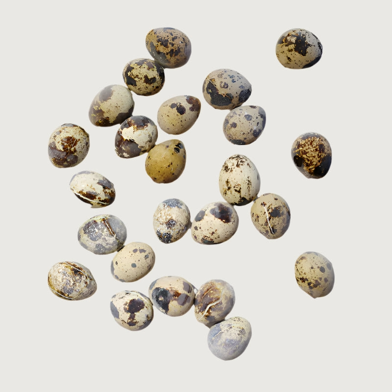 SAVAGE CAT Freeze-Dried Quail Egg Topper for Cats & Dogs