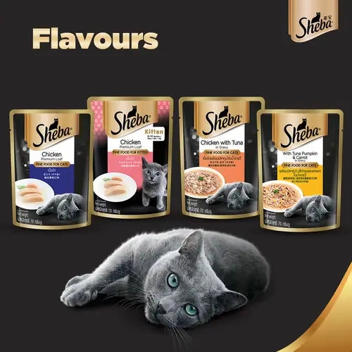 Sheba Chicken Tuna Gravy Adult Wet Food, Scoopy Lavender Natural Litter, First Meow Soft Strip Treat Cats Combo