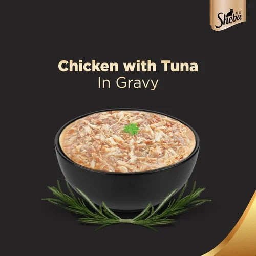 Sheba Chicken With Tuna In Gravy Rich Premium Adult Fine Wet Food and Chicken Flavour Irresistible All Life Stage Cat Dry Food Combo