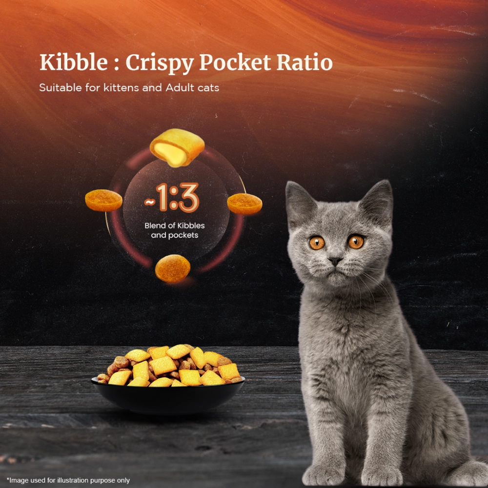 Sheba Chicken With Tuna In Gravy Rich Premium Adult Fine Wet Food and Chicken Flavour Irresistible All Life Stage Cat Dry Food Combo