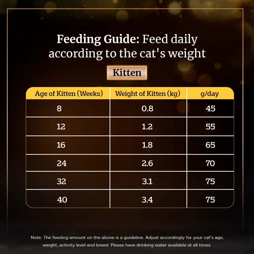 Sheba Chicken With Tuna In Gravy Rich Premium Adult Fine Wet Food and Chicken Flavour Irresistible All Life Stage Cat Dry Food Combo