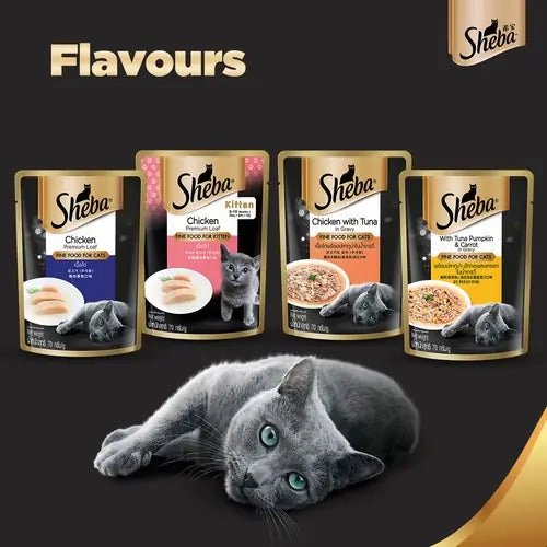Sheba Chicken With Tuna In Gravy Rich Premium Adult Fine Wet Food and Chicken Flavour Irresistible All Life Stage Cat Dry Food Combo
