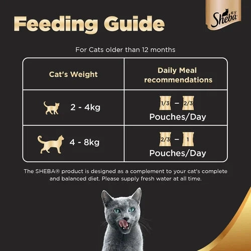 Sheba Chicken With Tuna In Gravy Rich Premium Adult Fine Wet Food and Chicken Flavour Irresistible All Life Stage Cat Dry Food Combo