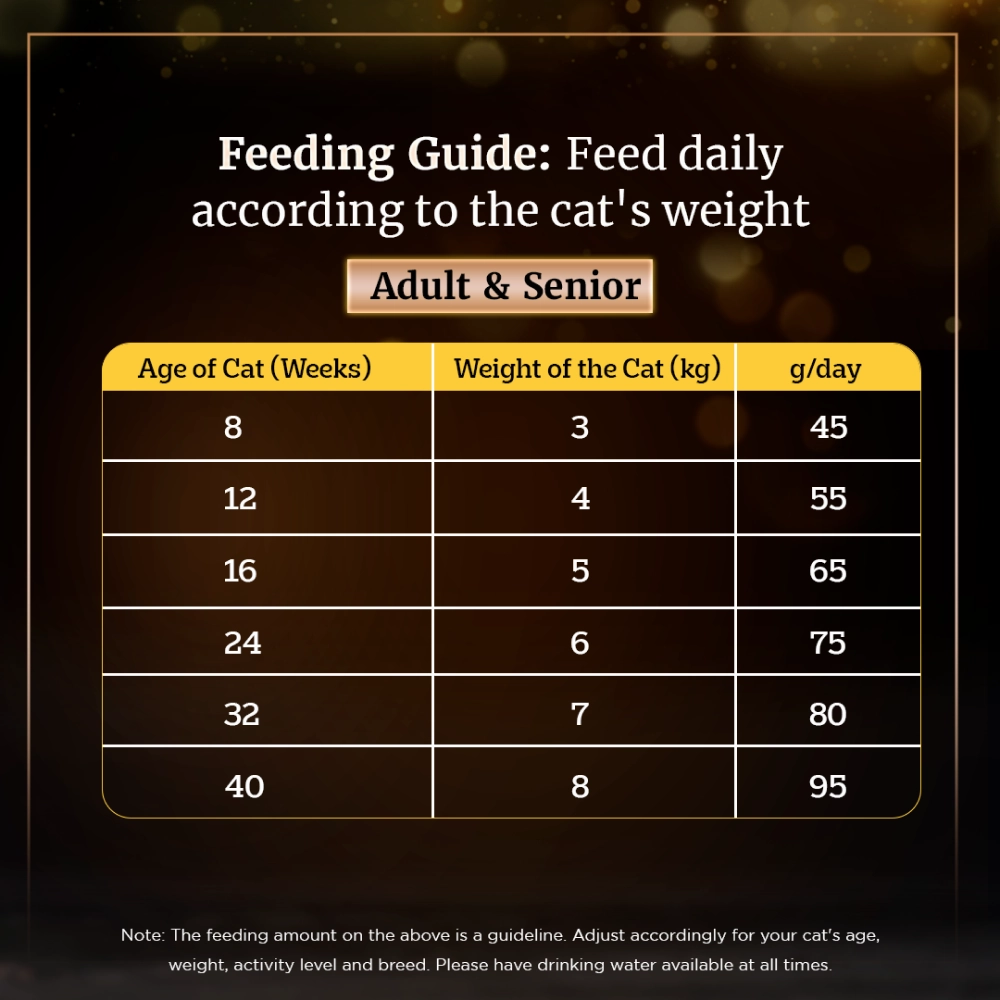 Sheba Chicken With Tuna In Gravy Rich Premium Adult Fine Wet Food and Chicken Flavour Irresistible All Life Stage Cat Dry Food Combo