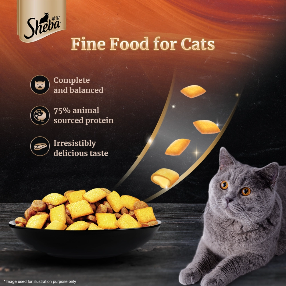 Sheba Chicken With Tuna In Gravy Rich Premium Adult Fine Wet Food and Chicken Flavour Irresistible All Life Stage Cat Dry Food Combo