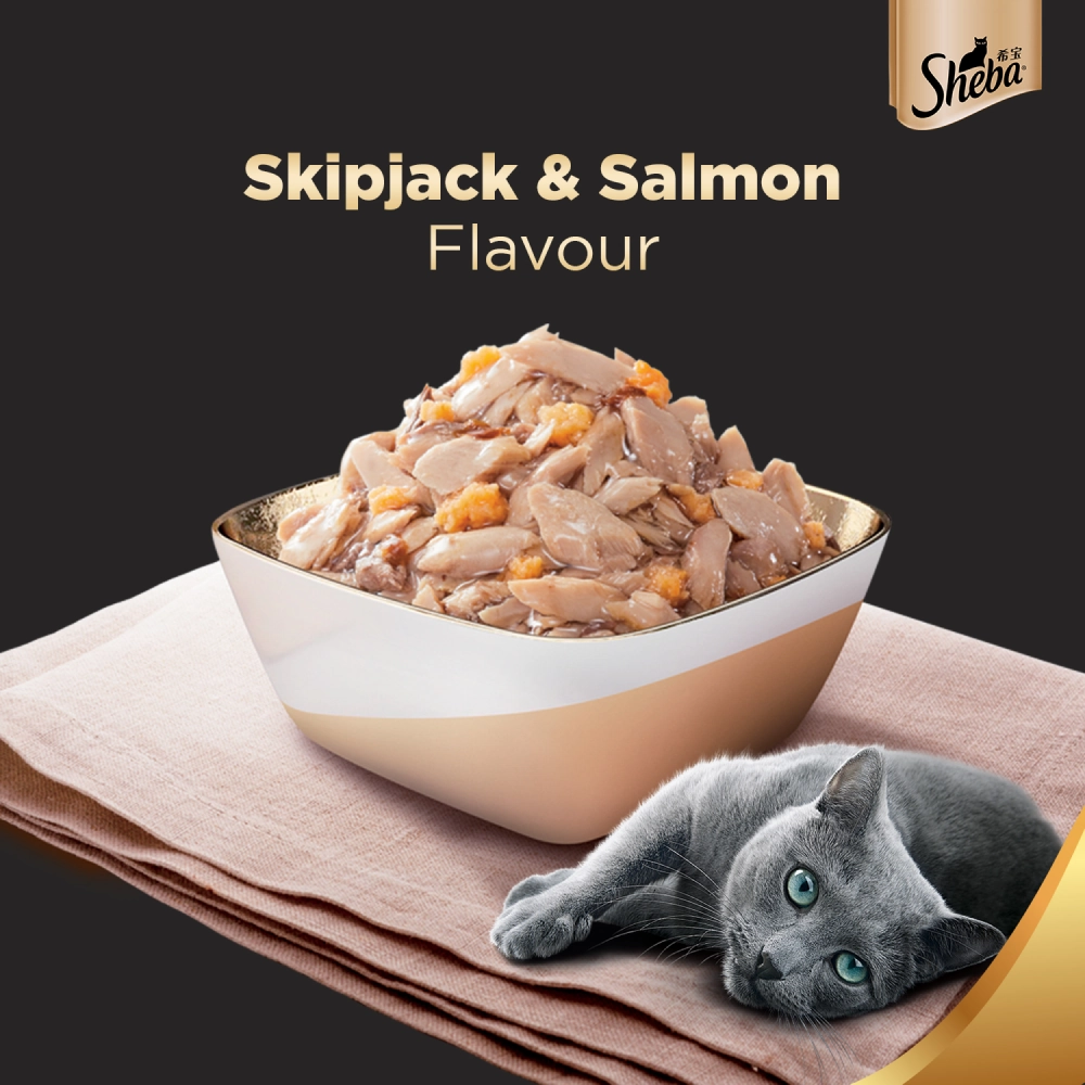 Sheba Skipjack & Salmon Fish, Maguro & Bream and Fish with Sasami Flake Premium Cat Wet Food Combo