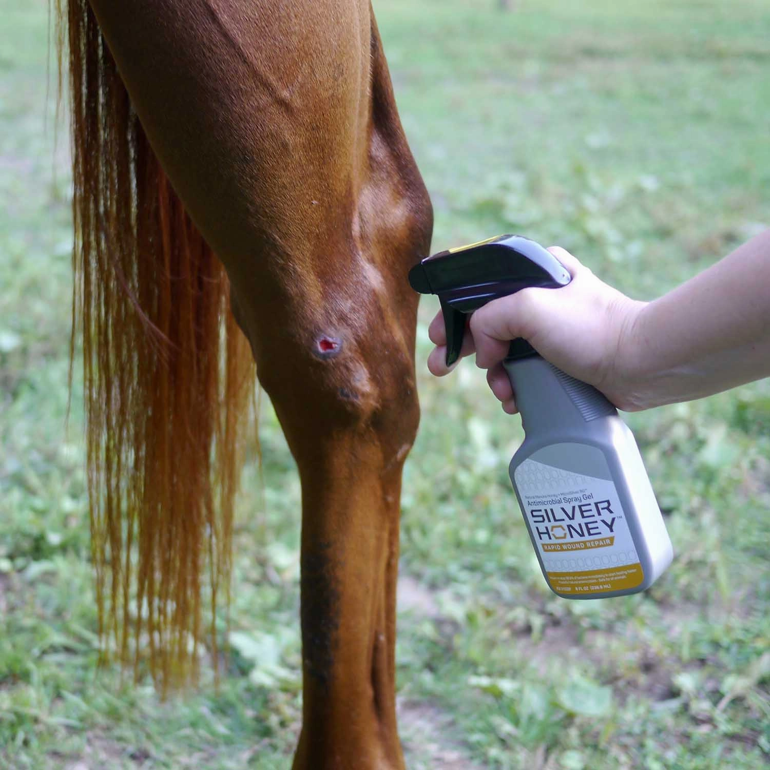 Silver Honey Rapid Wound Repair Spray