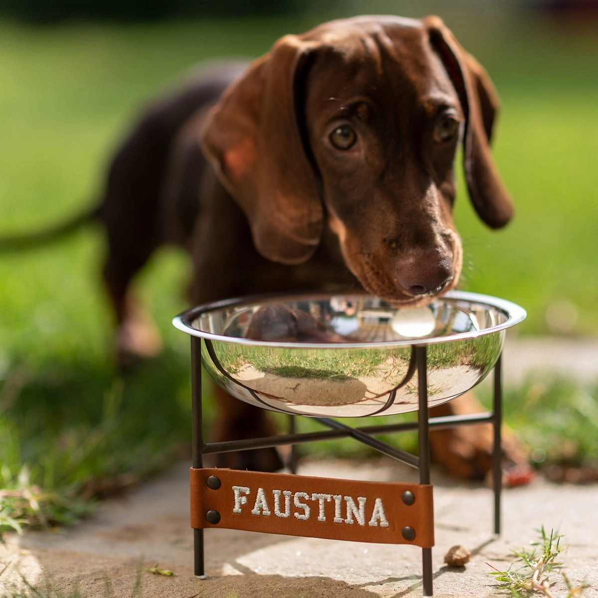Silver Plate Or Sterling Silver Dog Bowl With Pedestal
