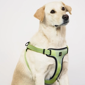 Skatrs Adventure in Style & Comfort Tropical Padded Harness for Dogs (Green)