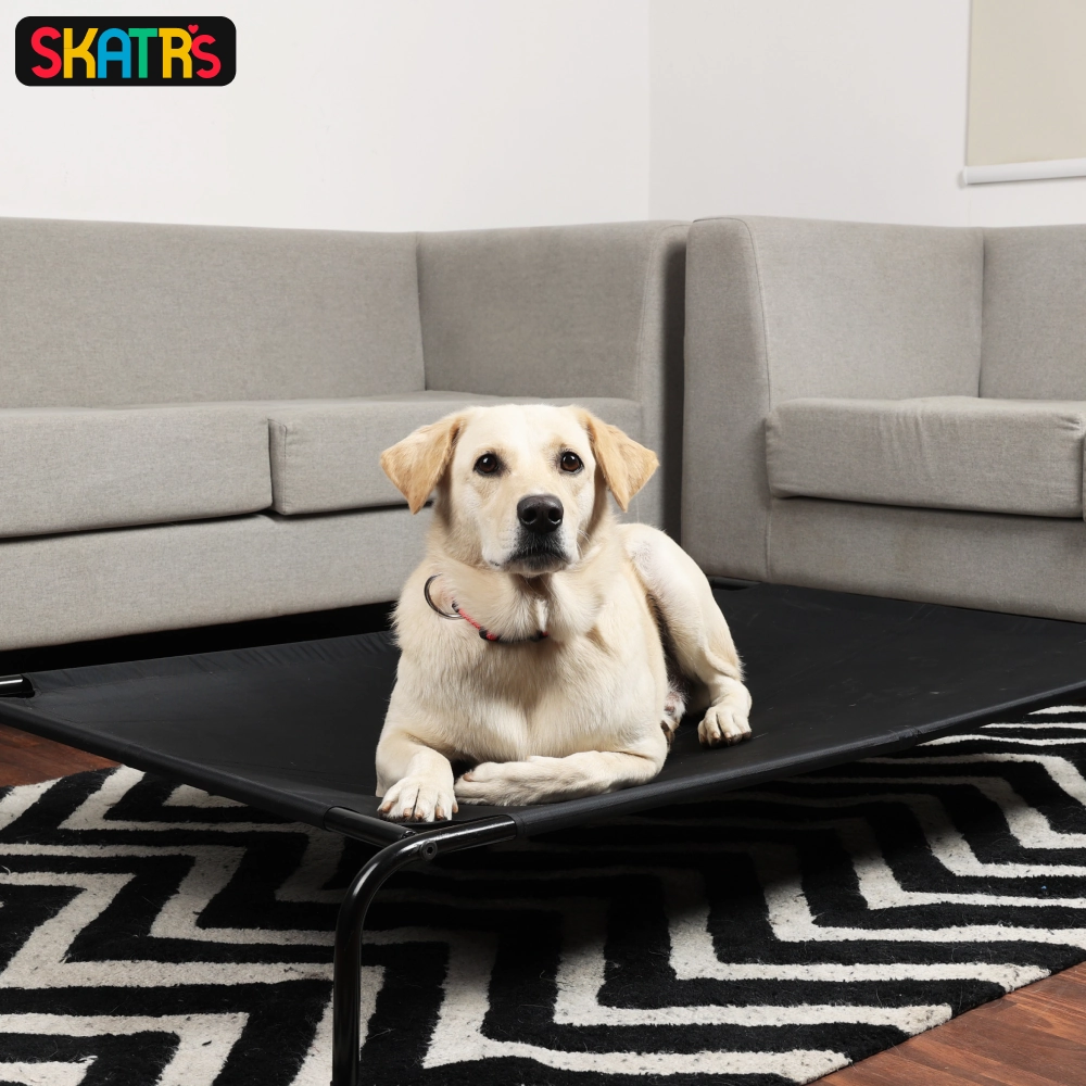 Skatrs Black Elevated Bed & Barkbutler x Fofos Glove Plush Fox Toy Dog Combo