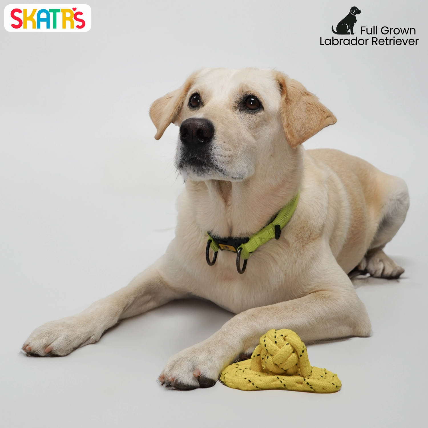 Skatrs Sandal Shaped Hand Made, Durable Rope Chew Toy for Dogs & Cats (Light Yellow)