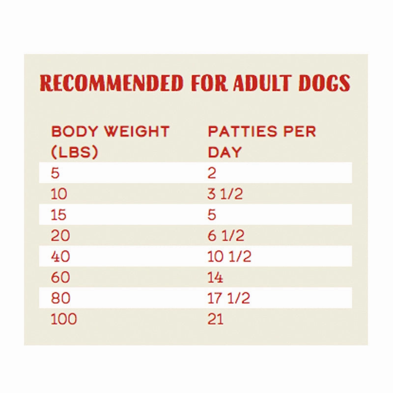 STELLA & CHEWY'S Freeze-Dried Raw Purely Pork Dinner Patties for Dogs