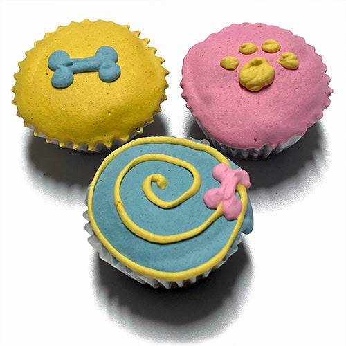 Summer Mini Cupcake Boxed Dog Treats