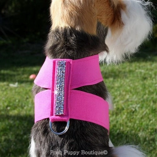 Susan Lanci Crystal Rock Collection Tinkie Harnesses - Many Colors