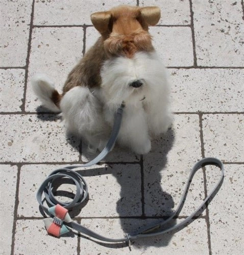 Susan Lanci Julia Tinkie Harness