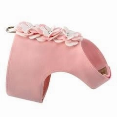Susan Lanci Special Occasion Bailey Harness in Puppy Pink
