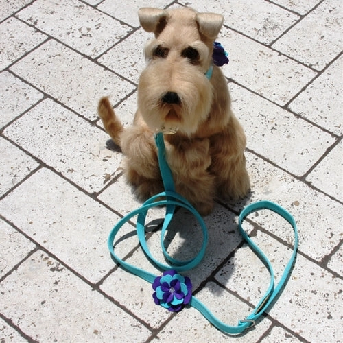 Susan Lanci Violet Step-In Harness - Bimini Blue
