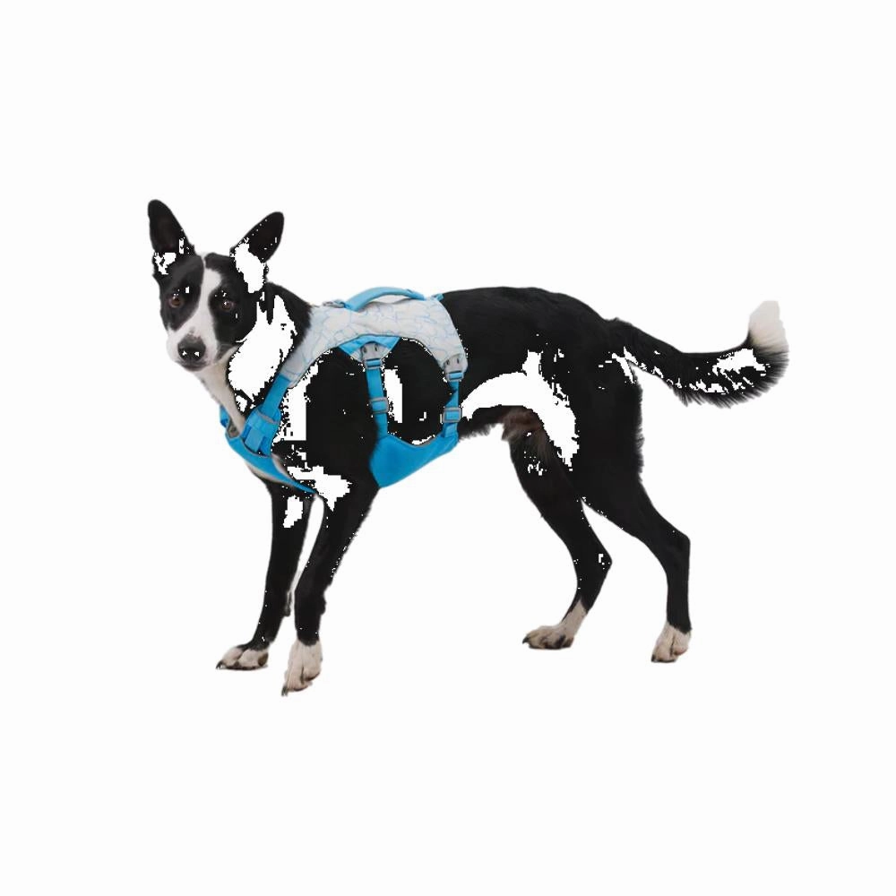 Swamp Cooler Dog Cooling Harness