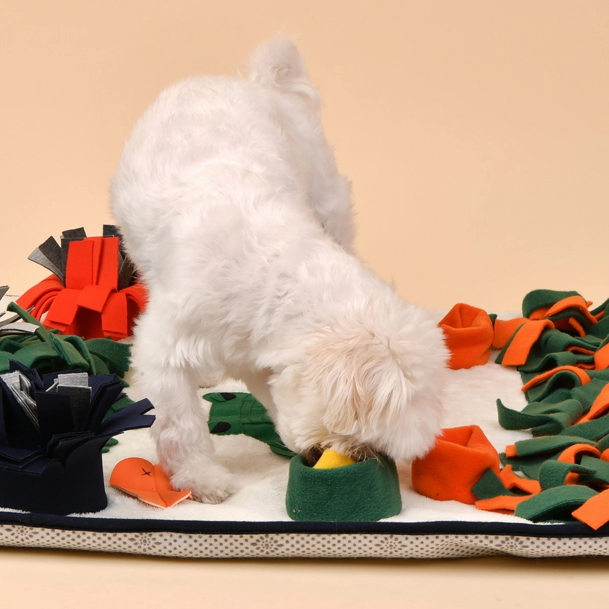 Swampy Mat Dog Toy