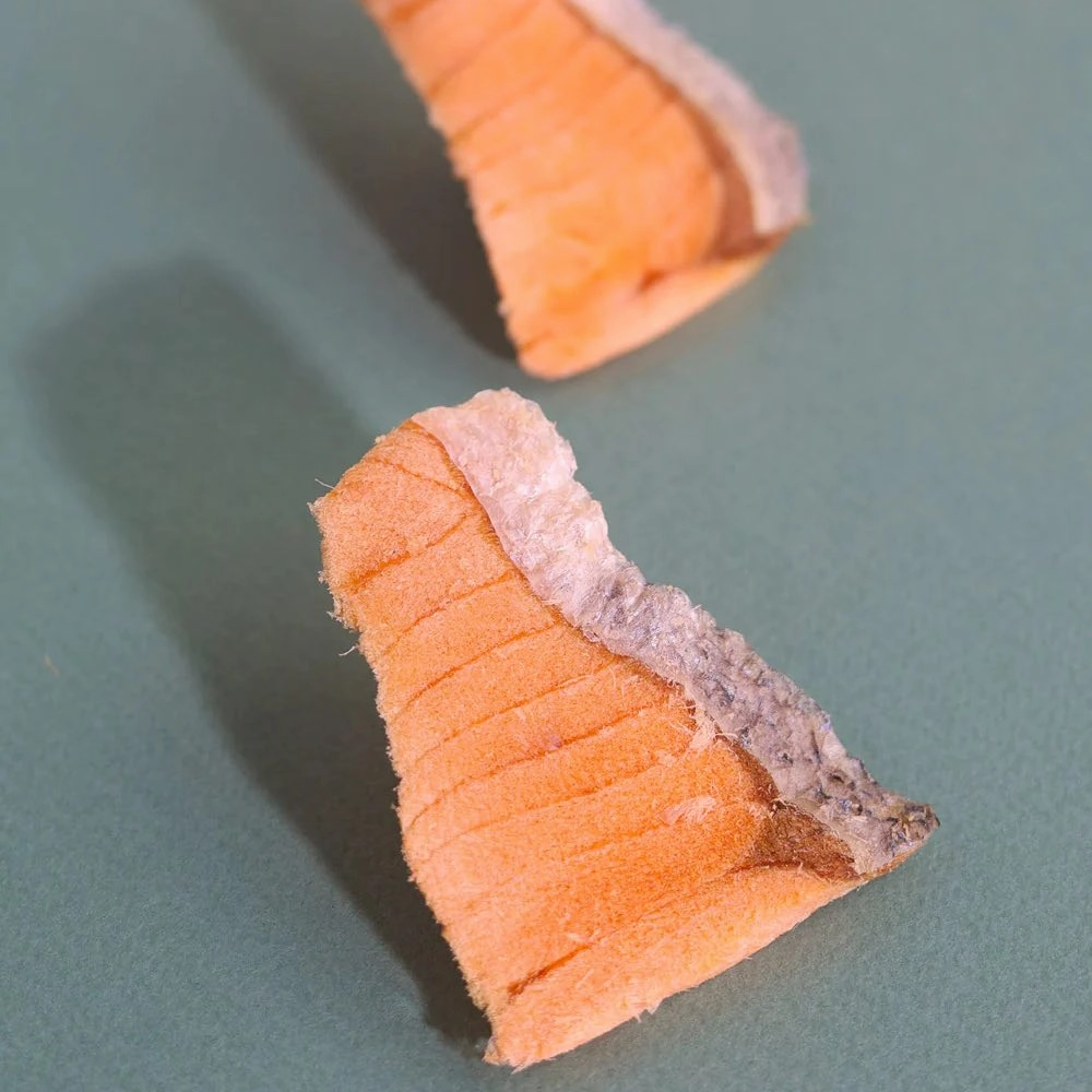 Taki Salmon Fillet Freeze-Dried Treat For Cats & Dogs (1 Packet) 7.5g