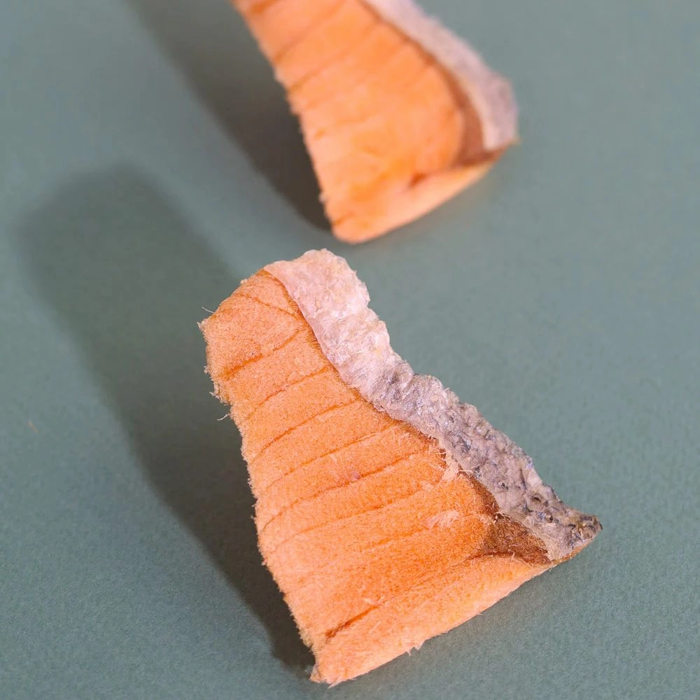 Taki Salmon Fillet Freeze-Dried Treats For Cats & Dogs (12 Packets) 90g