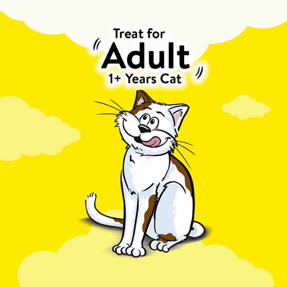 Temptations Creamy Dairy Cat Treats 75g