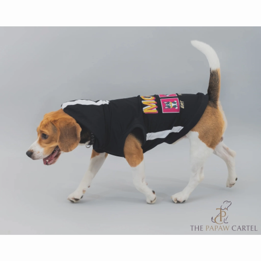 The Papaw Cartel Everyday Mood Hoodie Tshirt for Dogs (Black)