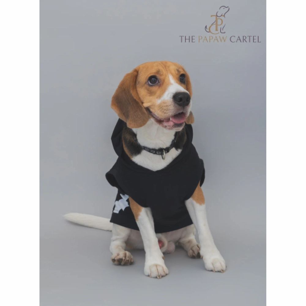 The Papaw Cartel Everyday Mood Hoodie Tshirt for Dogs (Black)