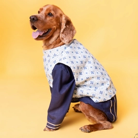 The Papaw Cartel Mosaic Print With Golden Zari Koti And Kurta for Dogs (white/Navy Blue)