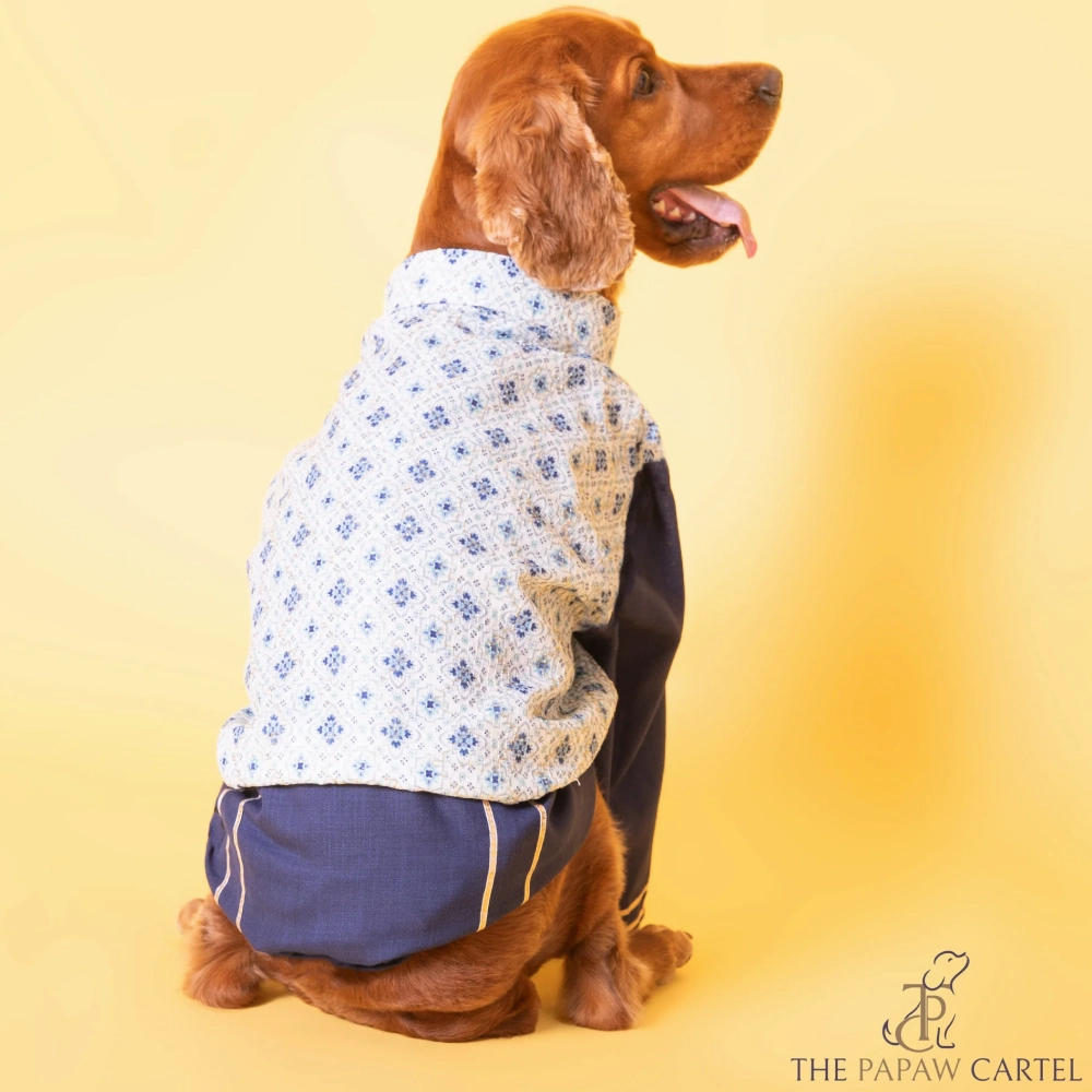 The Papaw Cartel Mosaic Print With Golden Zari Koti And Kurta for Dogs (white/Navy Blue)