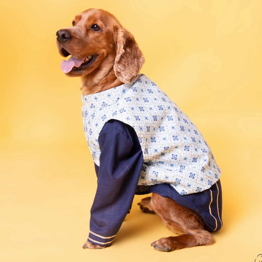 The Papaw Cartel Mosaic Print With Golden Zari Koti And Kurta for Dogs (white/Navy Blue)